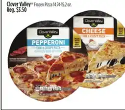 Dollar General Clover Valley Frozen Pizza offer