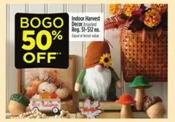 Dollar General Indoor Harvest Decor offer