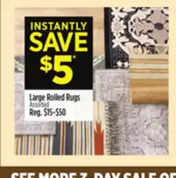Dollar General Large Rolled Rugs offer