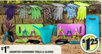 Dollar Tree Assorted Gardening Tools Or Gloves offer