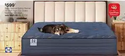 JC Penney Sealy Special Edition Warner 12 Firm Tight Top Queen Mattress offer