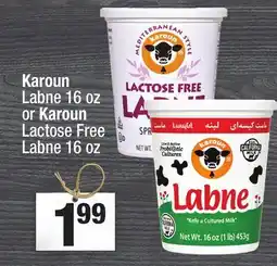 Super King Markets Karoun Labne 16 oz or Karoun Lactose Free Labne 16 oz offer