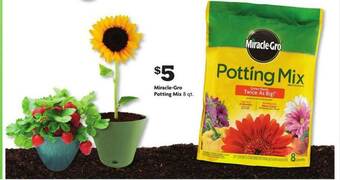 Family Dollar Miracle Gro Potting Mix offer