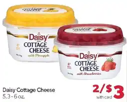 Family Fresh Market Daisy Cottage Cheese offer