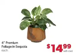 Family Fresh Market Premium Foliage in Sequoia offer