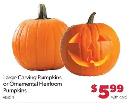 Family Fresh Market Large Carving Pumpkins or Ornamental Heirloom Pumpkins offer