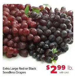 Family Fresh Market Extra Large Red or Black Seedless Grapes offer