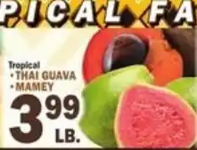 Ctown Tropical Thai Guava Mamey offer