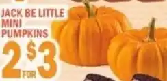 Ctown Jack be little mini pumpkins offer
