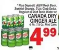 Ctown Canada Dry Ginger Ale offer