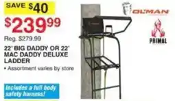 Dunham's Sports Olman Primal 22' Big Daddy Or 22' Mac Daddy Deluxe Ladder offer