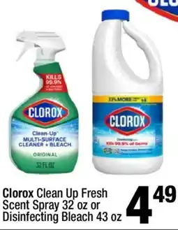 Super King Markets Clorox clean up fresh scent spray or disinfecting bleach offer