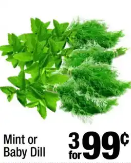 Super King Markets Mint or Baby Dill offer