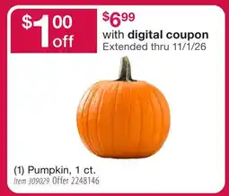 BJ’s (1) Pumpkin, 1 ct offer
