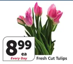 Albertsons Fresh Cut Tulips offer