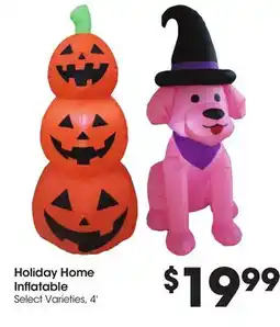 Food 4 Less Holiday Home Inflatable offer