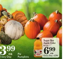 Pavilions Pie Pumpkins offer