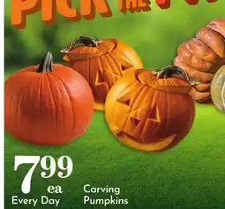 Pavilions Carving Pumpkins offer