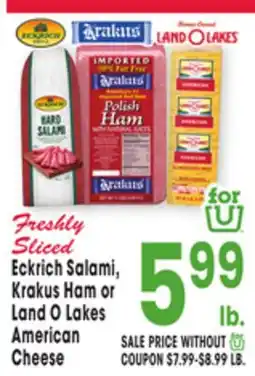 Jewel-Osco Eckrich Salami, Krakus Ham or Land O Lakes American Cheese offer