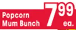 Jewel-Osco Popcorn Mum Bunch offer
