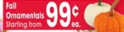 Jewel-Osco Fall Ornamentals offer