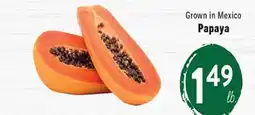 Rio Valley Market Papaya offer