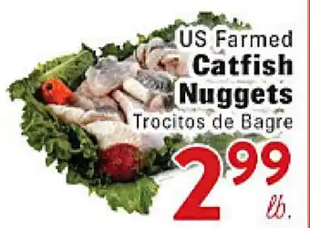 Rio Valley Market US Farmed Catfish Nuggets offer