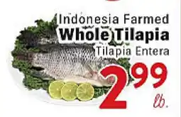 Rio Valley Market Indonesia Farmed Whole Tilapia offer