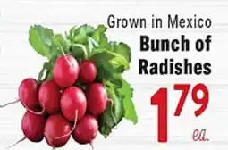 Rio Valley Market Bunch of Radishes offer