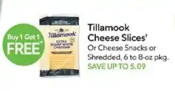 Publix Tillamook cheese slices offer