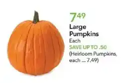 Publix Large Pumpkins offer