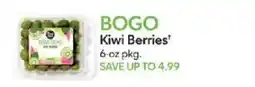 Publix Boo Kiwi Gems offer