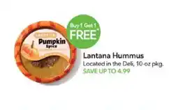 Publix Lantana Hummus offer