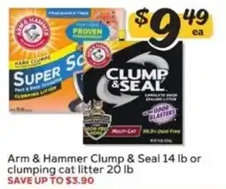 Winn Dixie Arm & Hammer Clump & Seal offer
