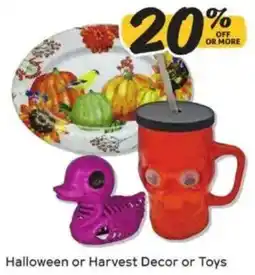 Winn Dixie Halloween or Harvest Decor or Toys offer