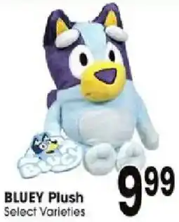 Jewel-Osco Bluey Plush offer