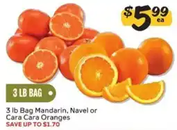 Winn Dixie 3 lb Bag Mandarin, Navel or Cara Cara Oranges offer