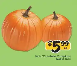 Winn Dixie Jack O'Lantern Pumpkins offer