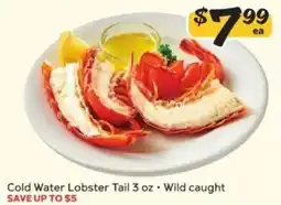 Winn Dixie Cold Water Lobster Tail offer