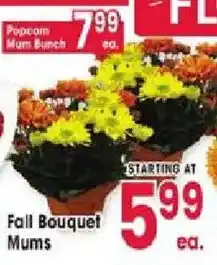 Jewel-Osco Fall Bouquet Mums offer