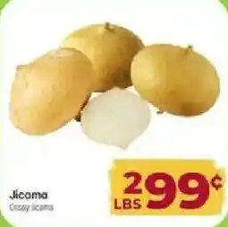 Cardenas Jicama offer