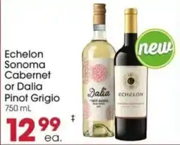 Giant Eagle Echelon Sonoma Cabernet or Dalia Pinot Grigio offer