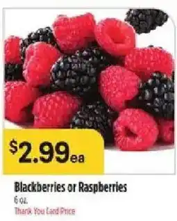 Bashas' Blackberries or Raspberries offer