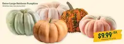 Sprouts Farmers Market Extra-Large Heirloom Pumpkins offer