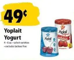 Festival Foods Yoplait Yogurt offer