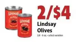 Festival Foods Lindsay Olives offer