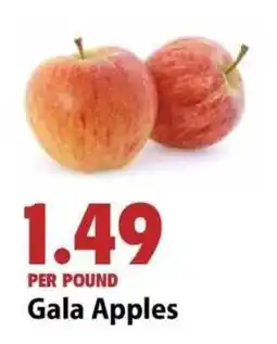Festival Foods Gala Apples offer
