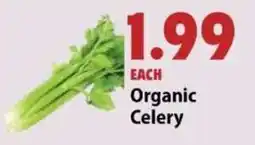 Festival Foods Organic Celery offer