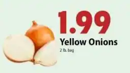 Festival Foods Yellow Onions offer