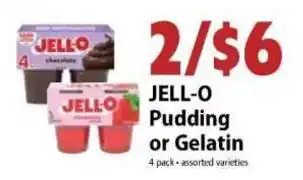 Jell-o Pudding or Gelatin